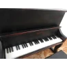 Piano Stage (Café piano 'Old Classic') black Unique, only a few copies made!!!