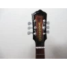 Gitarren-Akustik-Klassiker Fender Vince Ray Voodoo-Bucket 300CE RW elektr. western