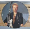 Originele Picture Disk (LP) van Def Leppard 'miss you in a heartbeat' 1992