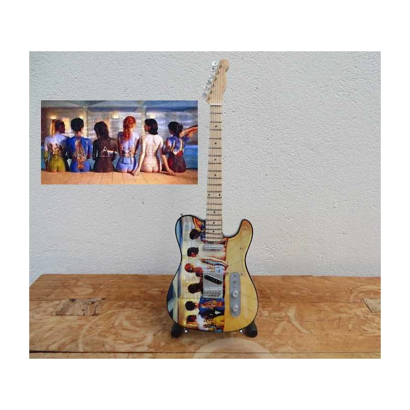 gitaar Fender Telecaster Pink Floyd Back Cataloque music 'Beach'