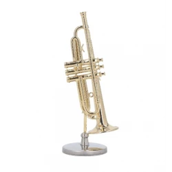 Metal Trumpet with stand and case