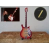 Guitare Rickenbacker 660/12 TP incluant Tom Petty Rare